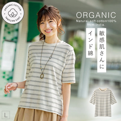 インド綿オーガニックコットン 五分袖Tシャツ ボーダー